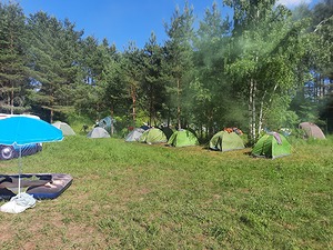 010.jpg