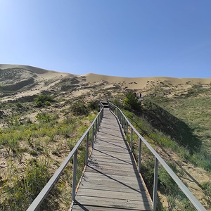 117.jpg
