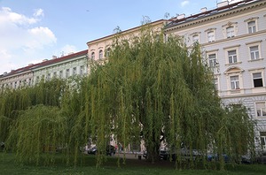 040.jpg