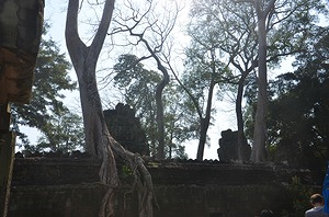 125.jpg