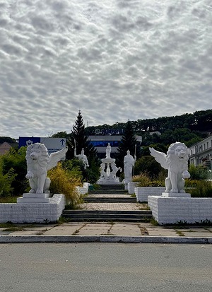117.jpg