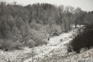 09.jpg