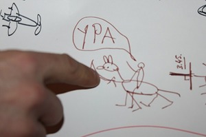 y_ea5854a6.jpg