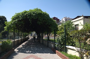 071.jpg