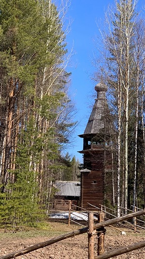 197.jpg
