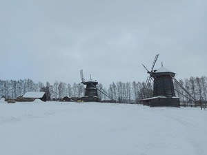 17.jpg