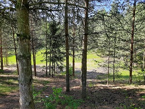06.jpg