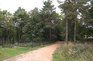02.jpg