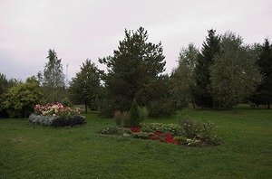 54.jpg