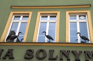 169.jpg