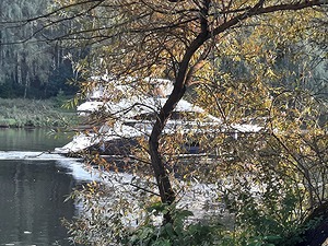 79.jpg