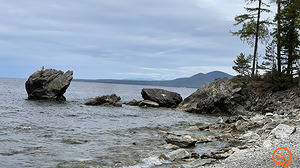 IMG_0362.jpg