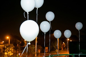 050.jpg
