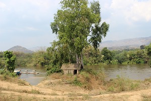 050.jpg