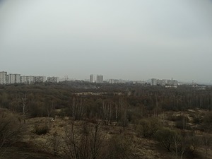 297.jpg