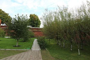 146.jpg