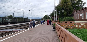 50.jpg