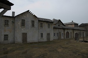 111.jpg