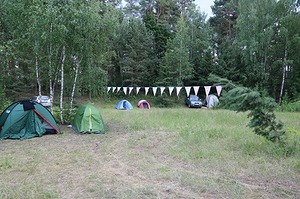 281.jpg