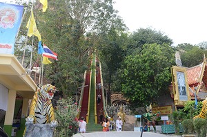 171.jpg