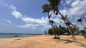 IMAGE 2026-02-20 122325.jpg