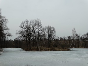 237.jpg