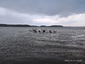 154.jpg