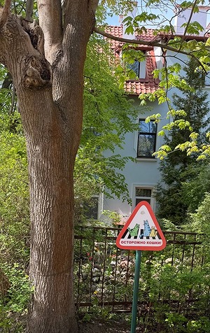 yXMcOTu5pG6bFHUVdpT-PBZoc9ElKqF544Wo10xm5-Rk61FoAIl7Cp19_KwTApqX08HPGoZb37chv9KlepyjEEaK.jpg