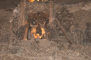 119.jpg