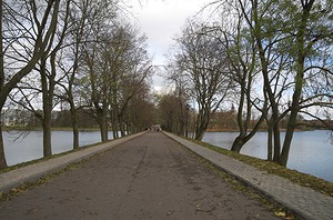 040.jpg
