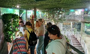 060.jpg