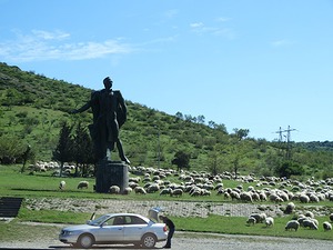 116.jpg