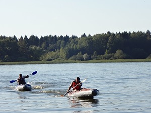 172.jpg