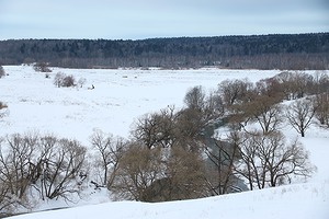 86.jpg