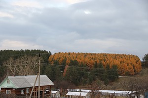 149.jpg