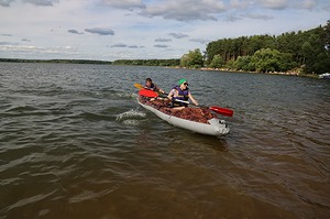 136.jpg