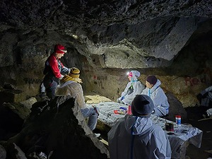 IMAGE 2026-04-27 16:42:25.jpg