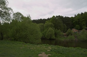 37.jpg