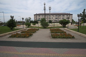 011.jpg