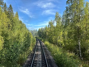 294.jpg