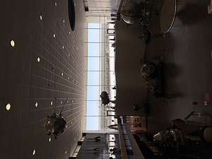 IMG_7368.jpeg