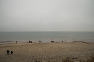 79.jpg
