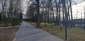 45.jpg