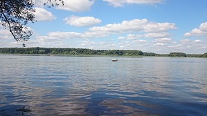 336.jpg