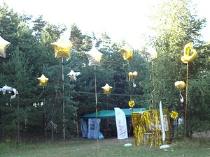 175.jpg