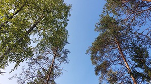 115.jpg