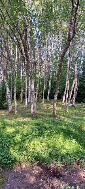 116.jpg