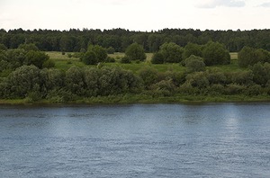 54.jpg