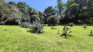 163.jpg