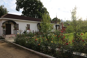 155.jpg